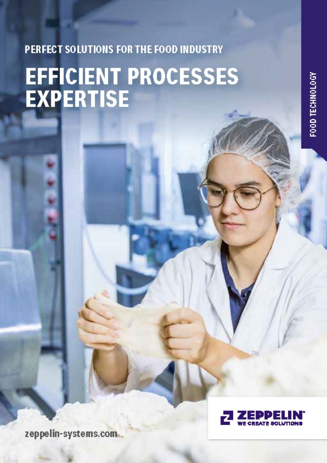 EFFICIENT PROCESSES EXPERTISE