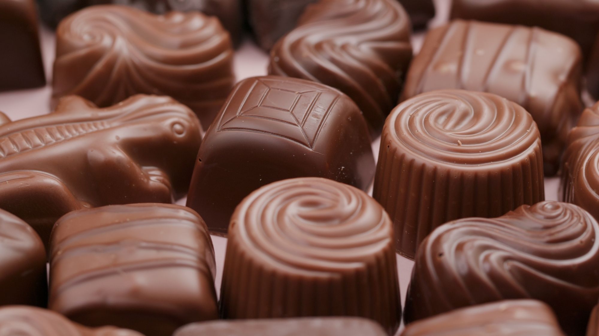 Chocolate Pralines